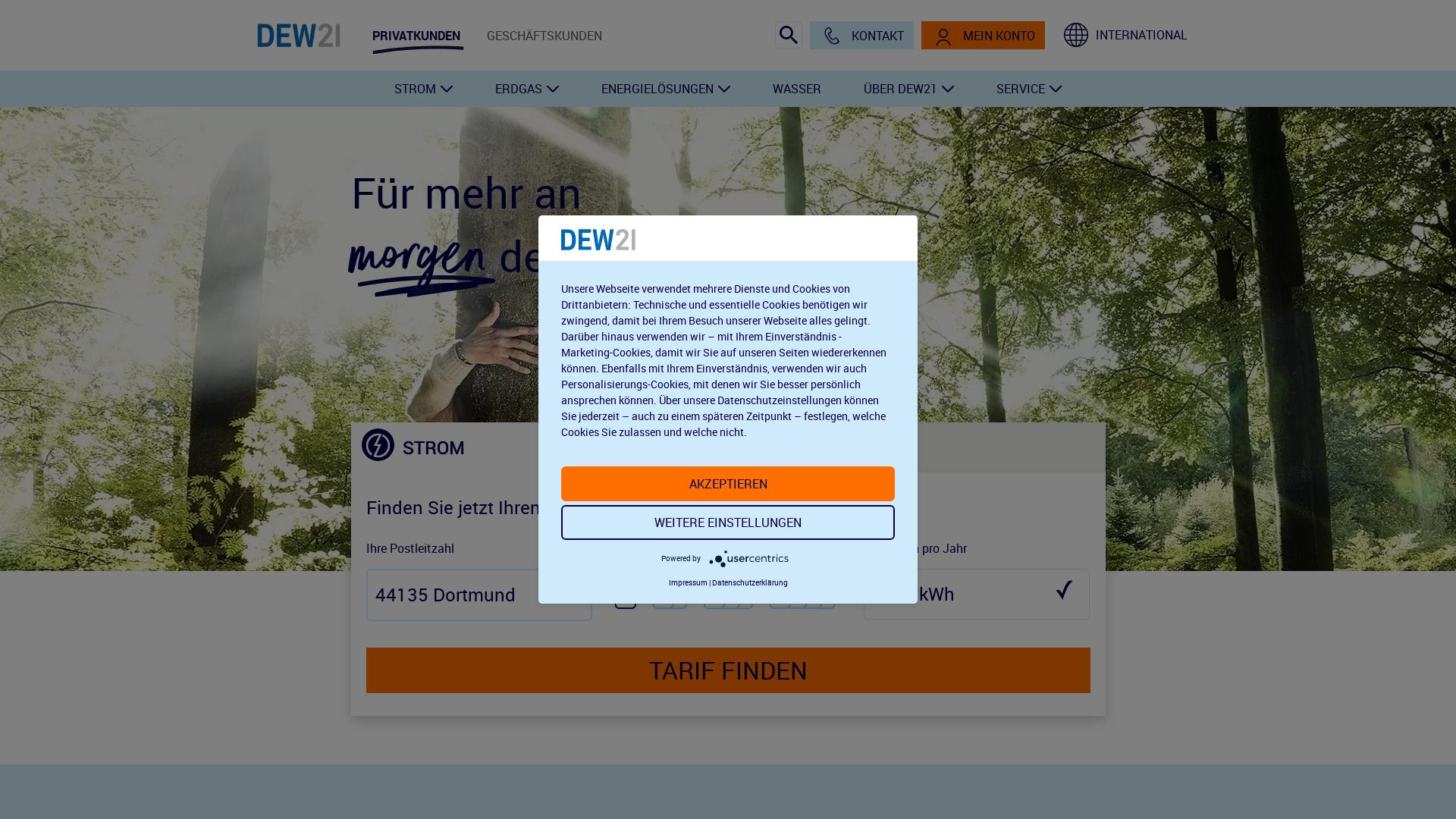 Website User Bewertung zu dew21.de