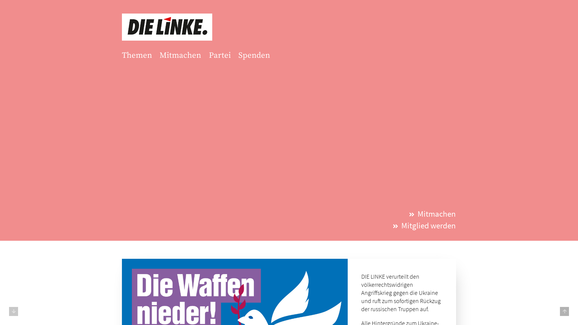 Website User Bewertung zu die-linke.de