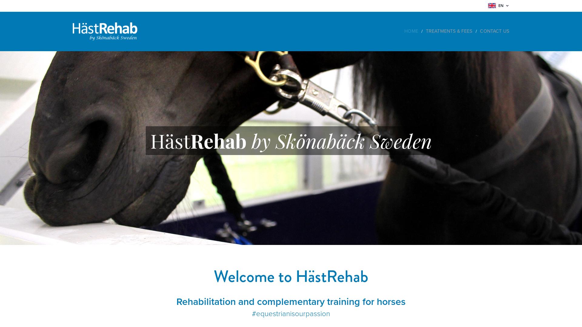 Website User Bewertung zu hastrehabskonaback.se