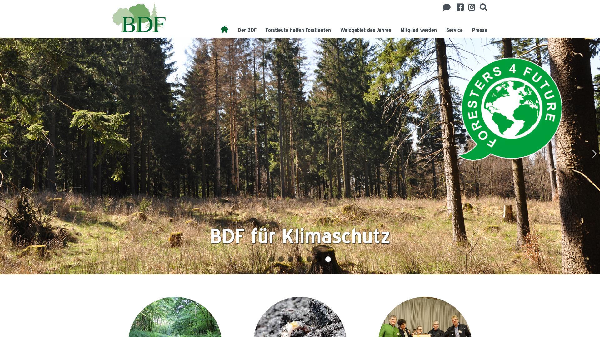 Website User Bewertung zu www.bdf-online.de
