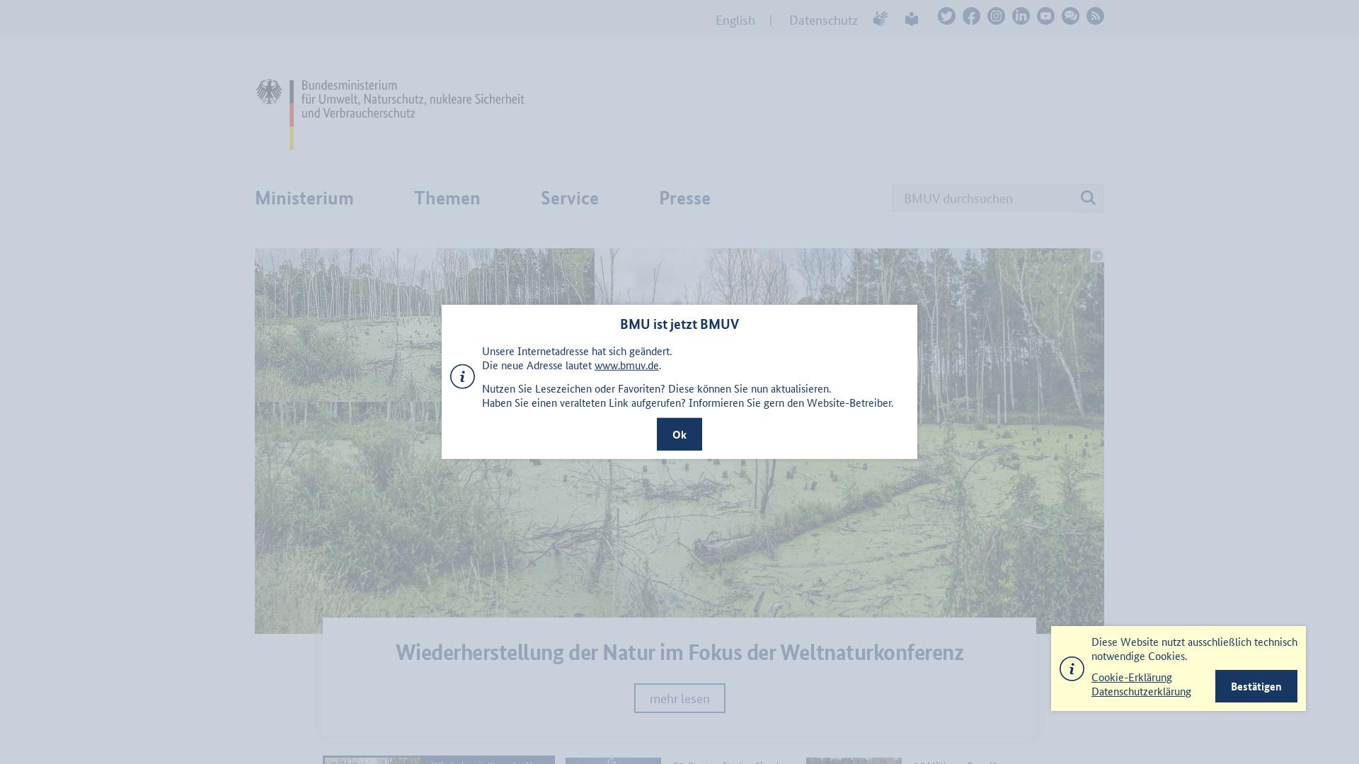 Website User Bewertung zu www.bmu.de
