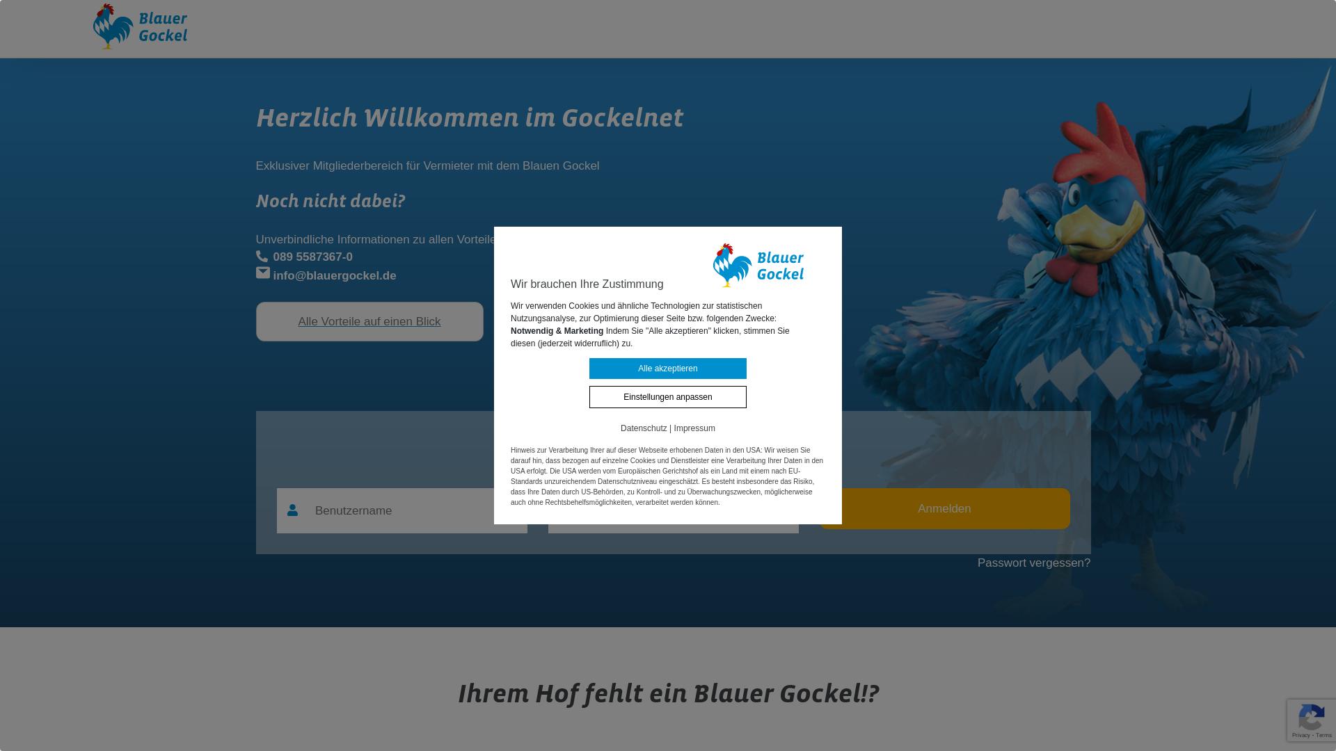 Website User Bewertung zu www.gockelnet.com