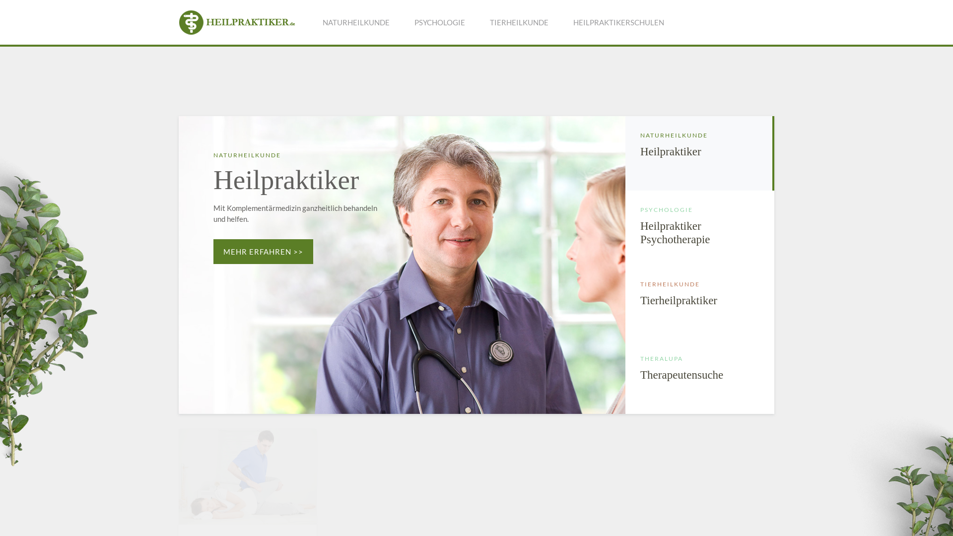 Website User Bewertung zu www.heilpraktiker.de