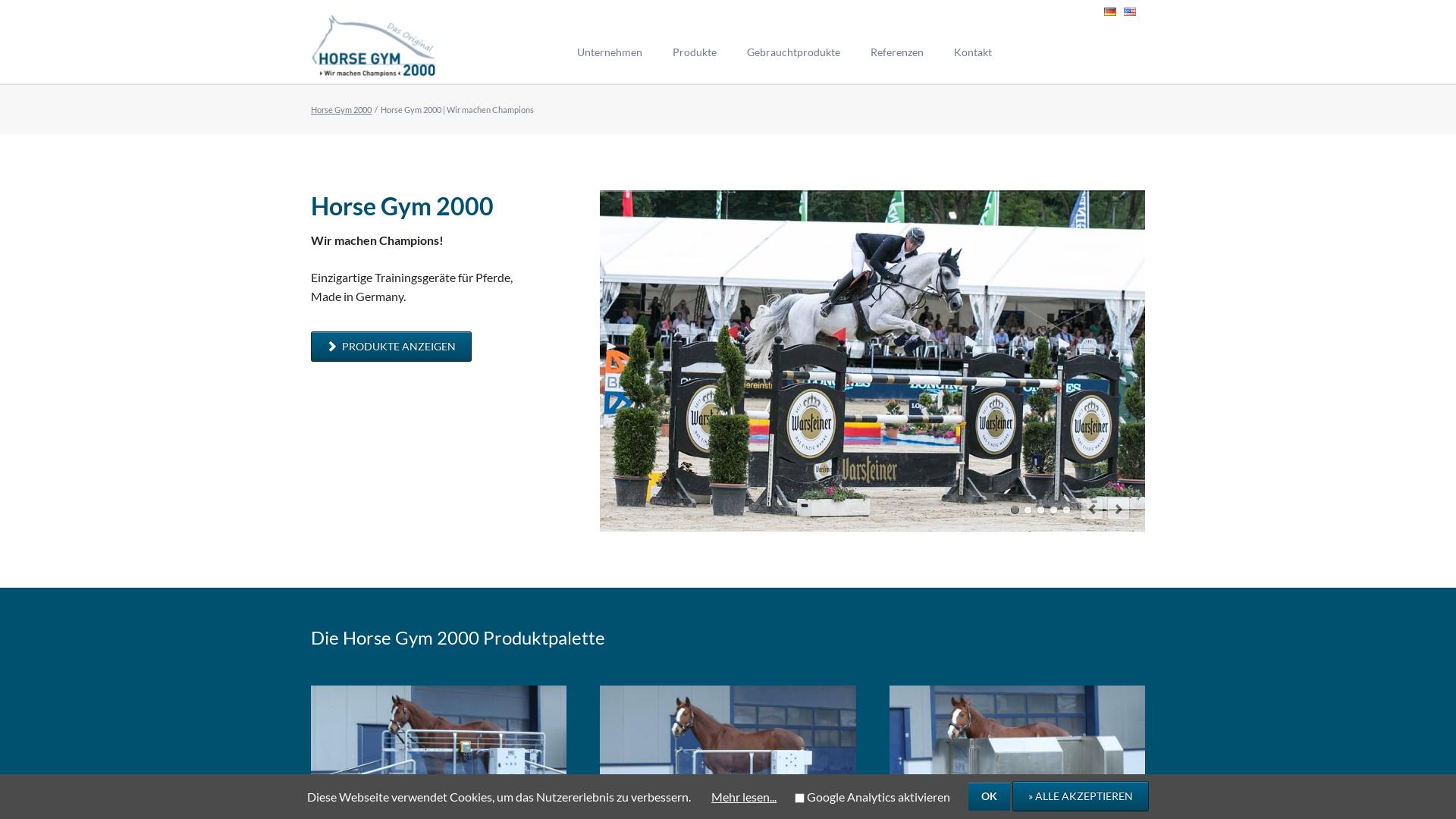 Website User Bewertung zu www.horse-gym-2000.de