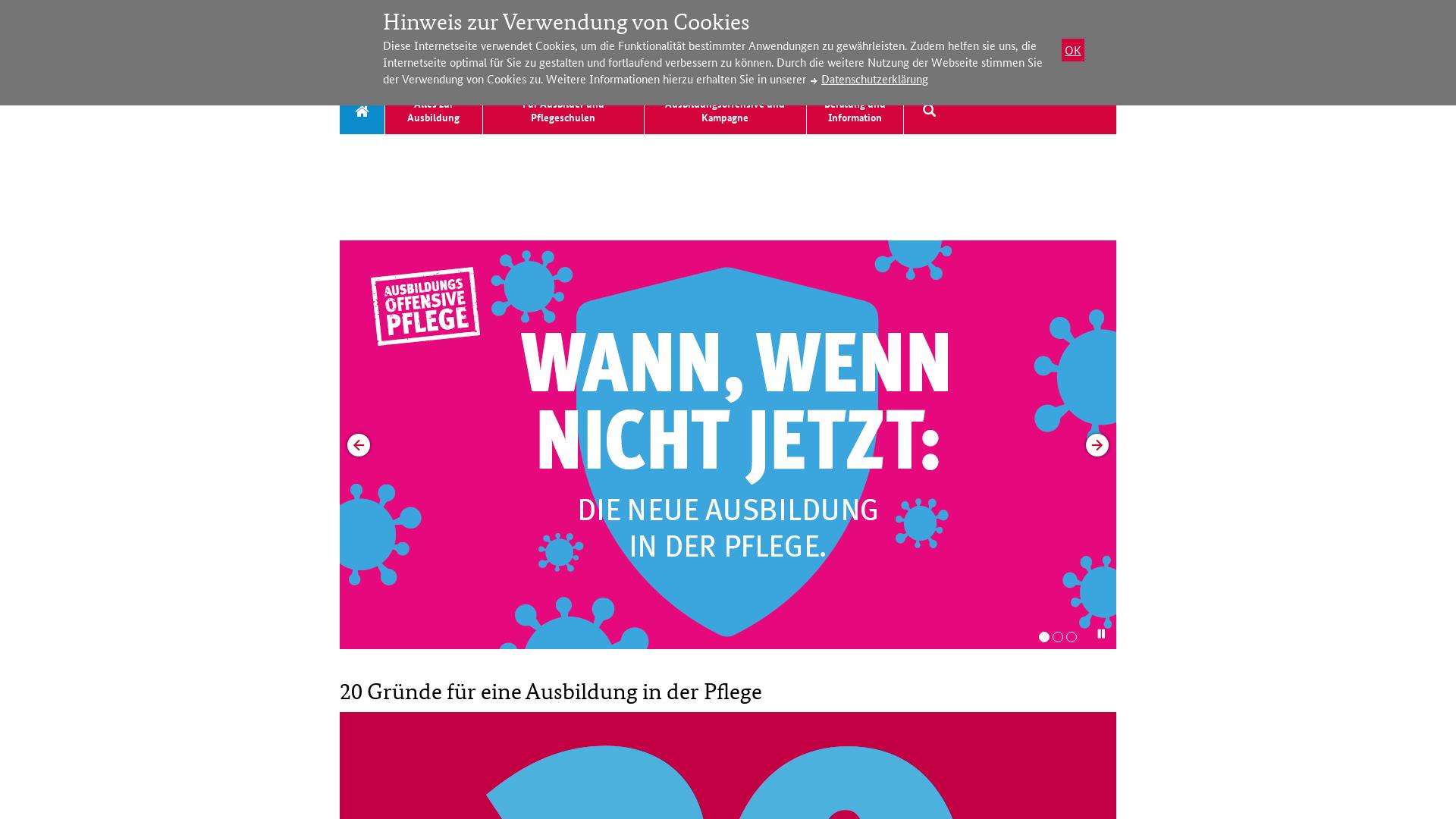 Website User Bewertung zu www.pflegeausbildung.net
