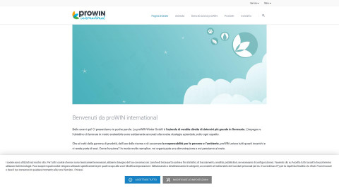 prowin-international.it